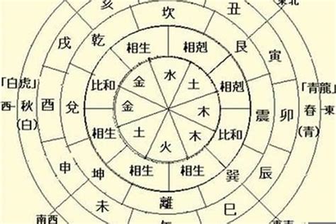 八字地支相沖|八字地支相沖